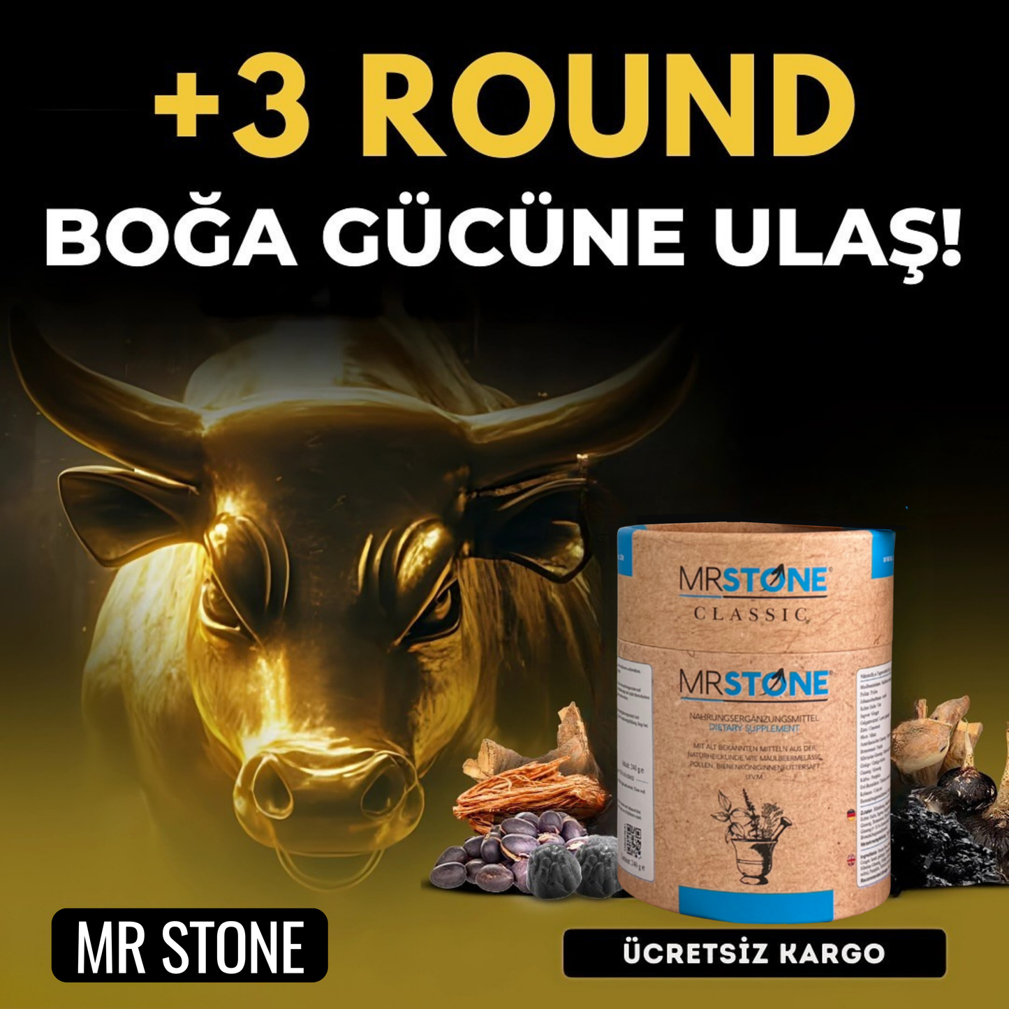 MR STONE CLASSİC